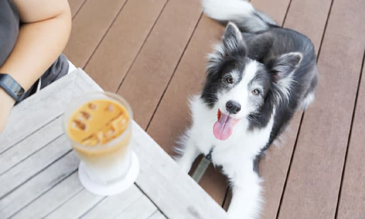 用途に合わせて選べる客室